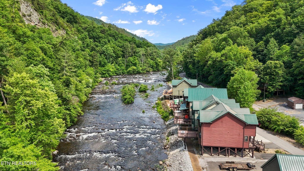 Photo of 1659 Cherohala Skway Skwy, Tellico Plains, TN 37385 (MLS # 1333432)
