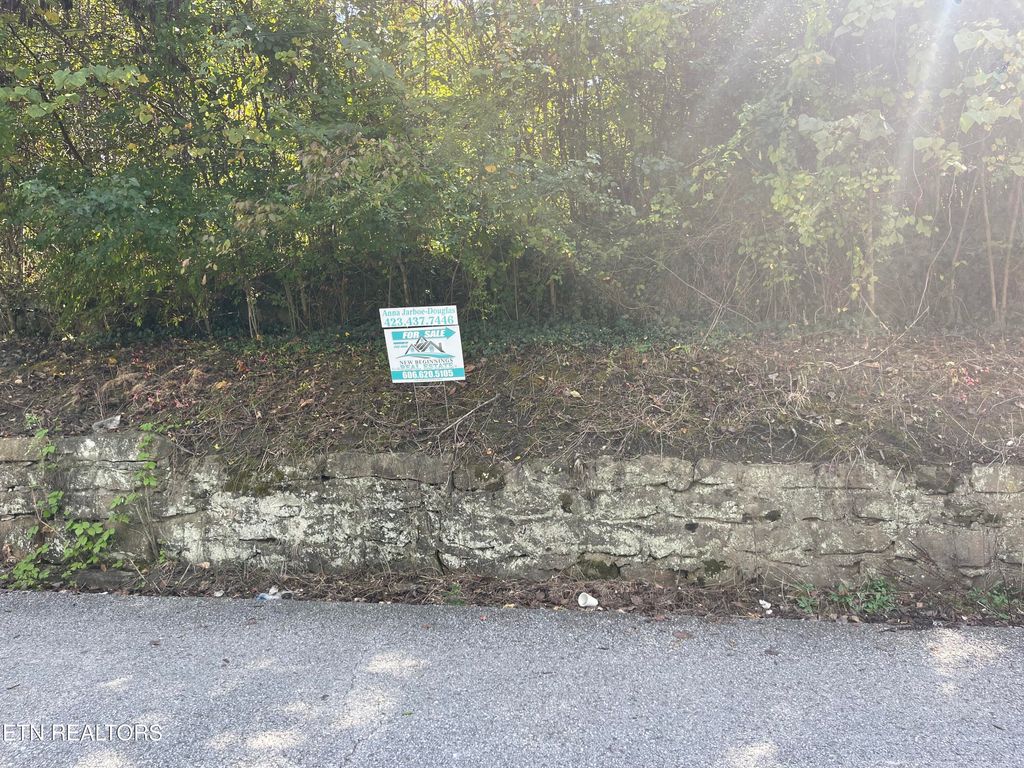 Photo of 132 Church St, Jellico, TN 37762 (MLS # 1316889)