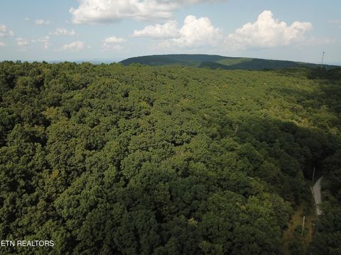 Millstone Mountain Rd Rockwood TN 37854