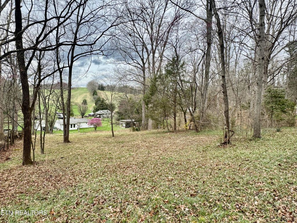 Photo of Bland Rd, Clinton, TN 37716 (MLS # 1332442)