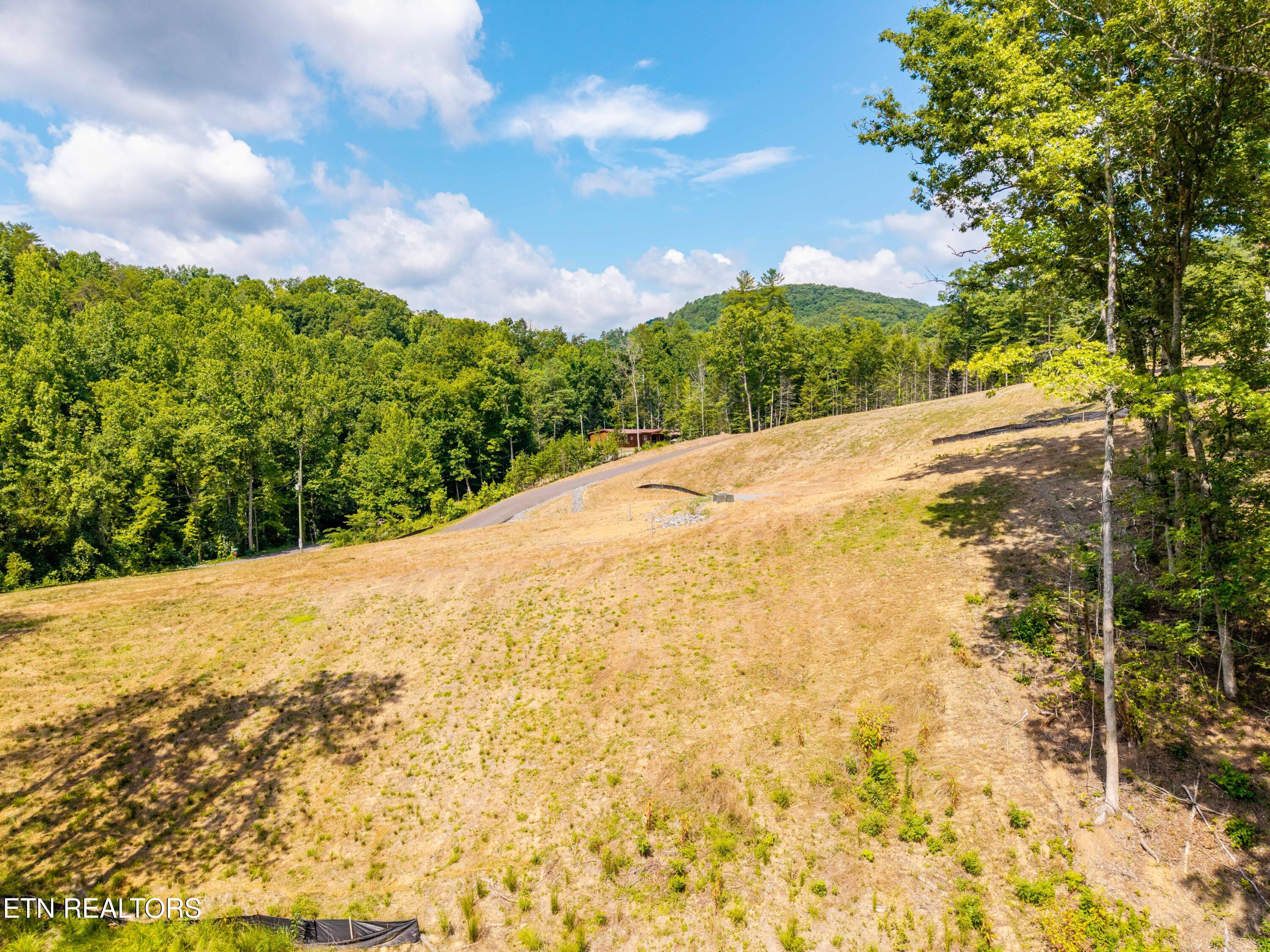 Waldens Creek Rd