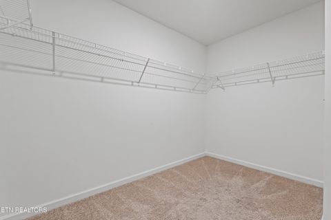 Tiny photo for 368 Hayley Marie Lane, Knoxville, TN 37920 (MLS # 1324868)