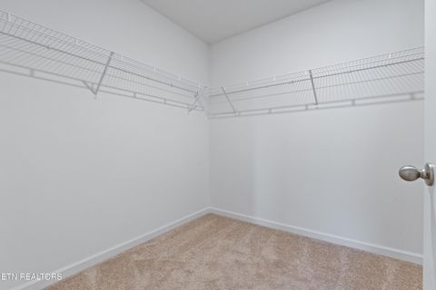 Tiny photo for 368 Hayley Marie Lane, Knoxville, TN 37920 (MLS # 1324868)