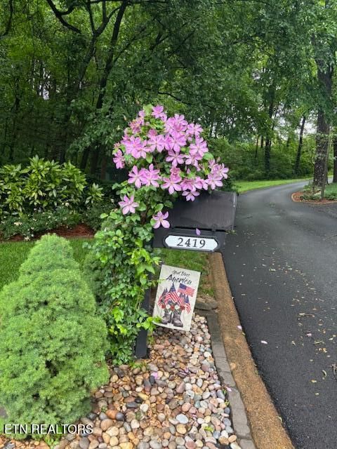 Tiny photo for 2419 Breckenridge St, Athens, TN 37303 (MLS # 1329553)