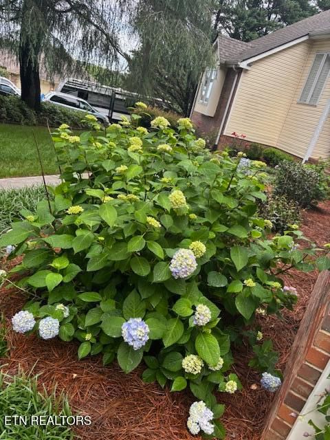 Tiny photo for 2419 Breckenridge St, Athens, TN 37303 (MLS # 1329553)