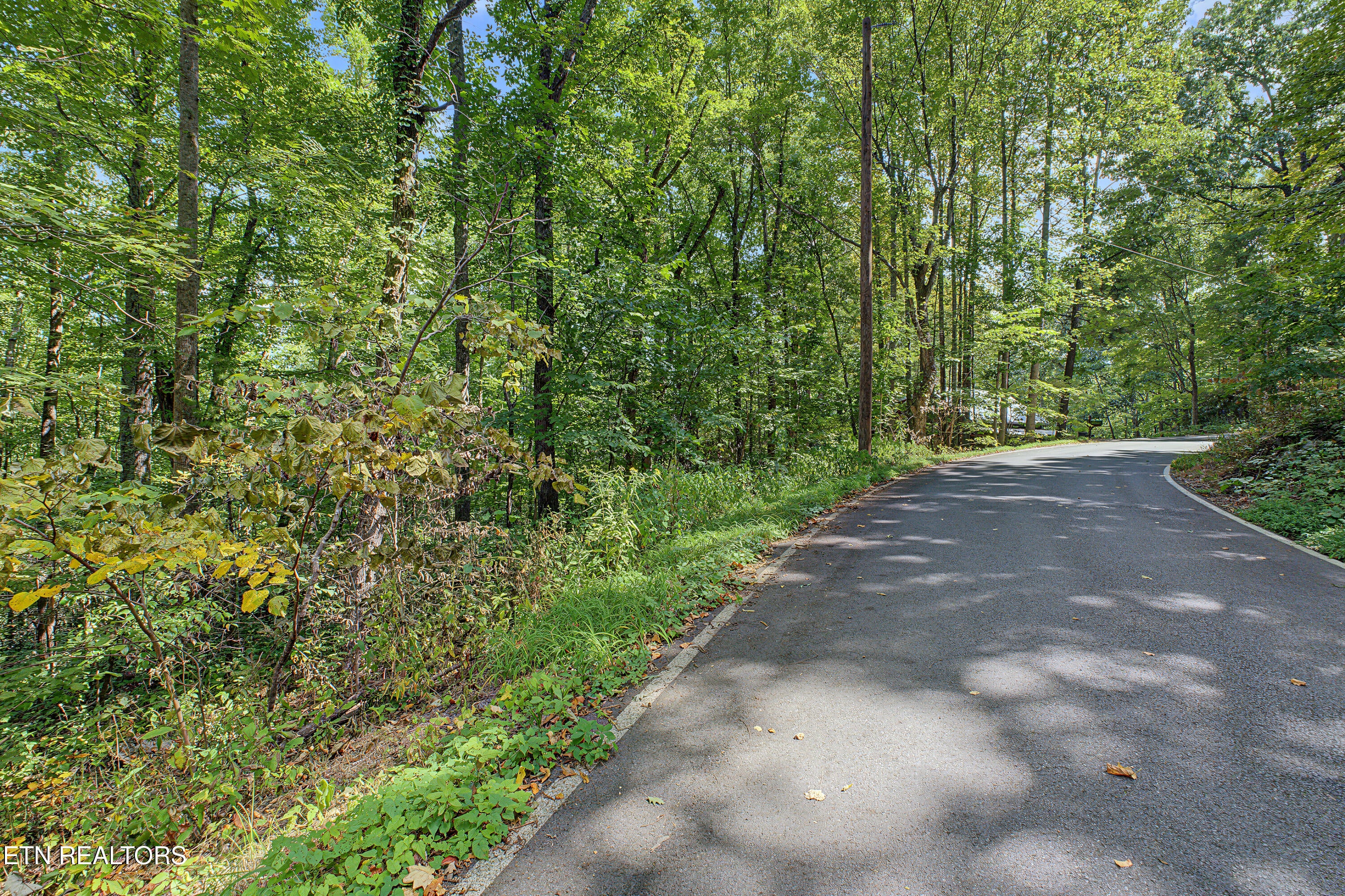 Old Cades Cove Rd