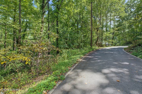 Tiny photo for Old Cades Cove Rd, Townsend, TN 37882 (MLS # 1355406)