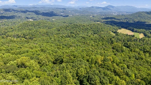 Tiny photo for Old Cades Cove Rd, Townsend, TN 37882 (MLS # 1355406)