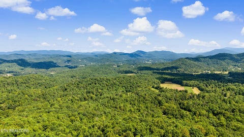 Tiny photo for Old Cades Cove Rd, Townsend, TN 37882 (MLS # 1355406)