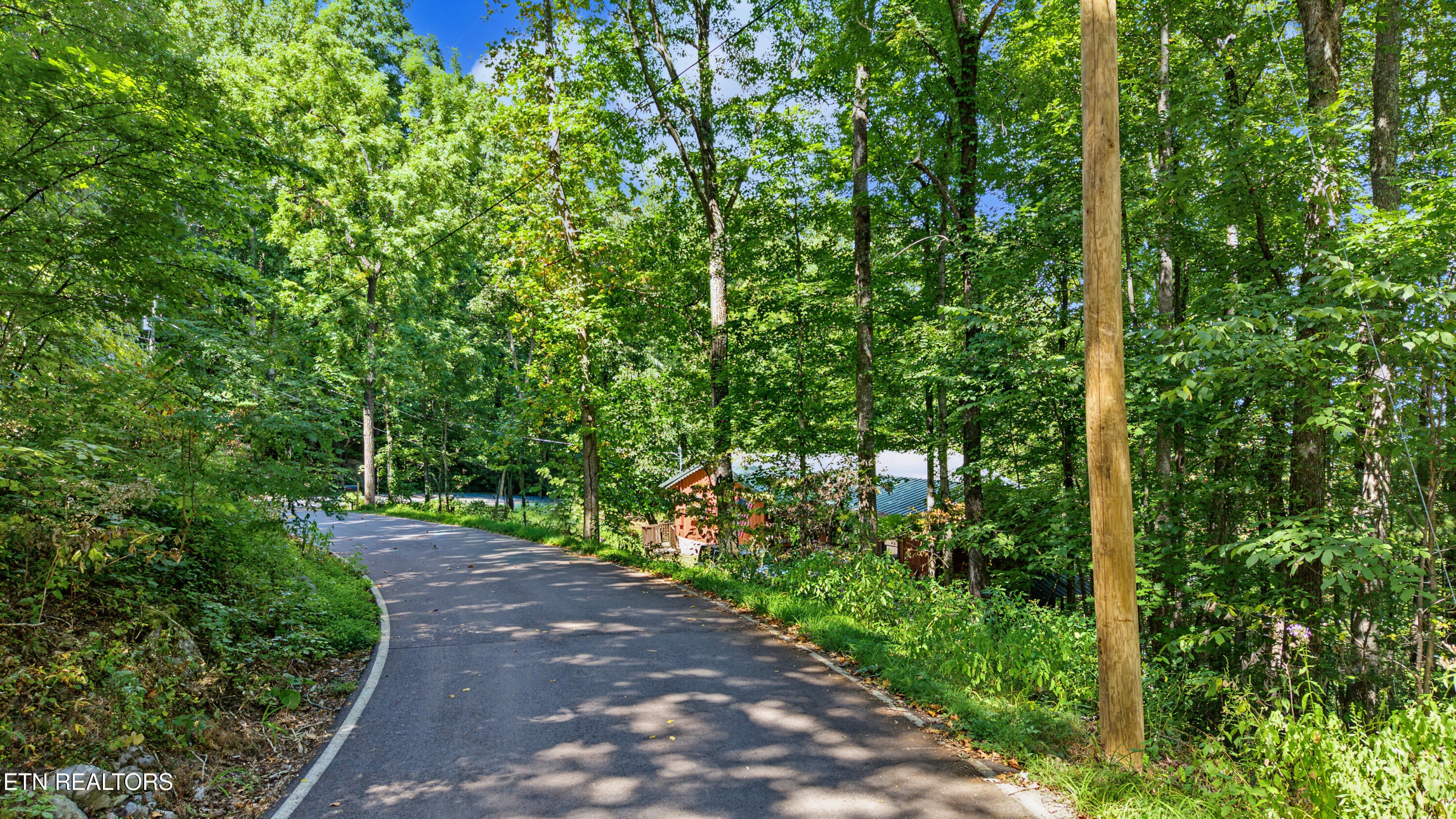 Old Cades Cove Rd