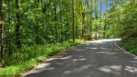 Photo of Old Cades Cove Rd, Townsend, TN 37882 (MLS # 1355406)