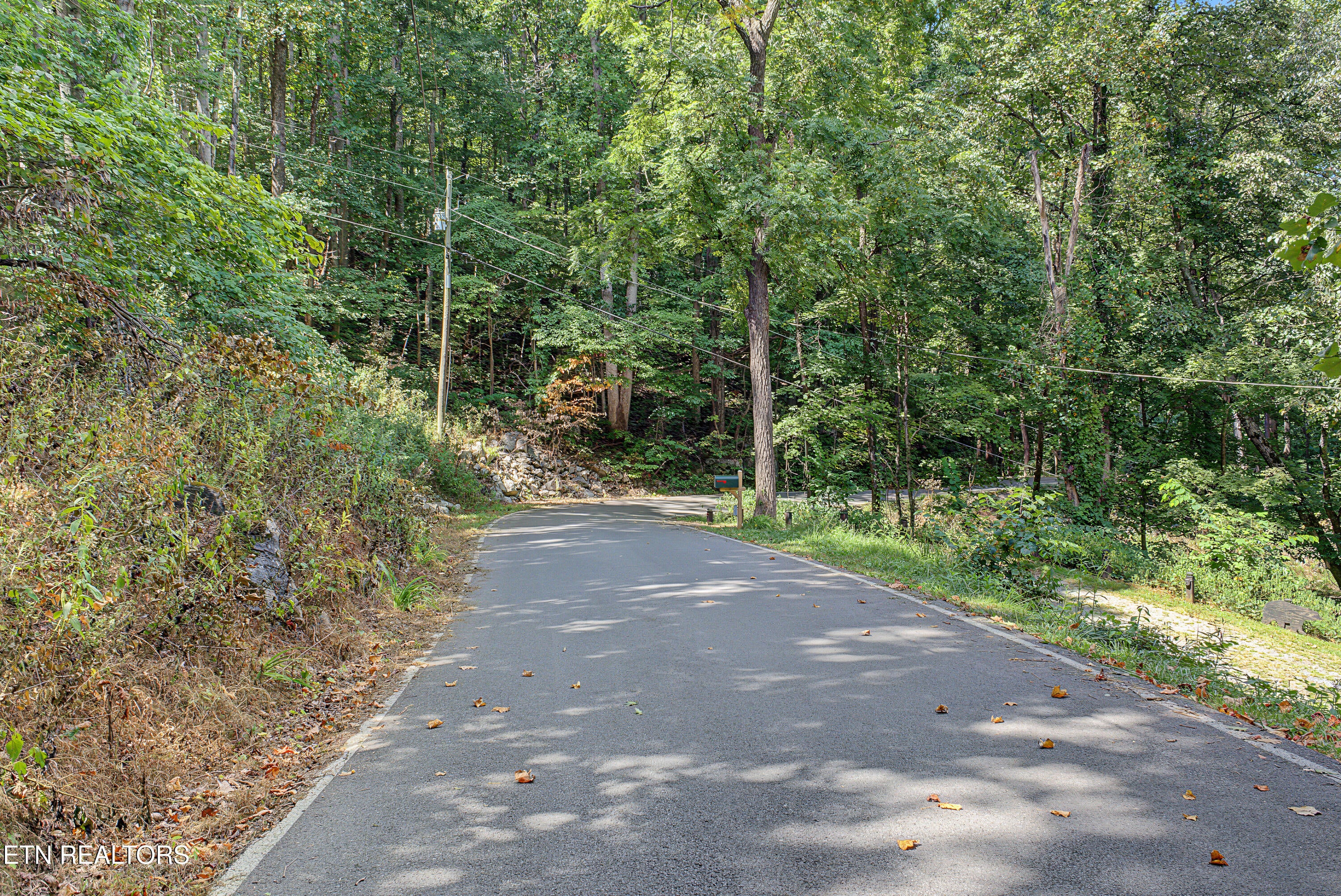 Old Cades Cove Rd