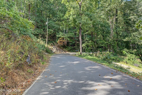 Tiny photo for Old Cades Cove Rd, Townsend, TN 37882 (MLS # 1355406)