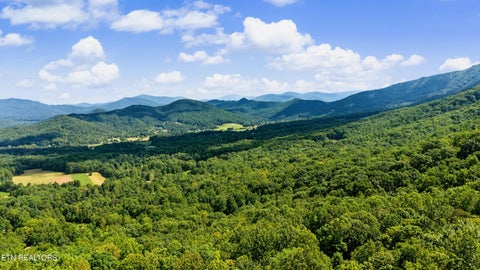 Tiny photo for Old Cades Cove Rd, Townsend, TN 37882 (MLS # 1355406)