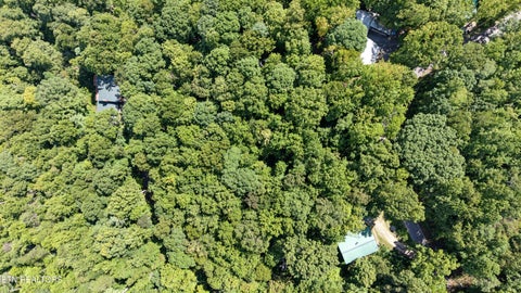 Tiny photo for Old Cades Cove Rd, Townsend, TN 37882 (MLS # 1355406)