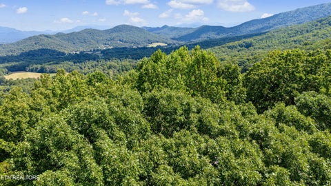 Tiny photo for Old Cades Cove Rd, Townsend, TN 37882 (MLS # 1355406)