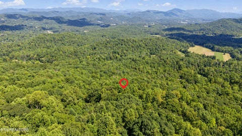 Tiny photo for Old Cades Cove Rd, Townsend, TN 37882 (MLS # 1355406)