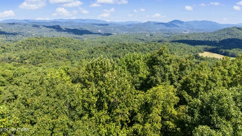 Tiny photo for Old Cades Cove Rd, Townsend, TN 37882 (MLS # 1355406)