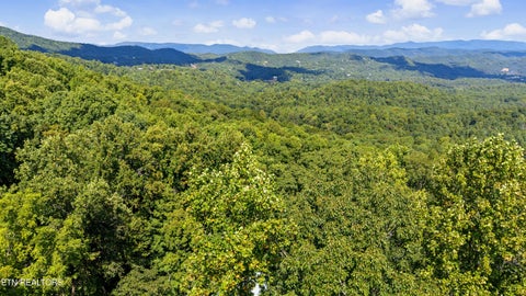 Tiny photo for Old Cades Cove Rd, Townsend, TN 37882 (MLS # 1355406)