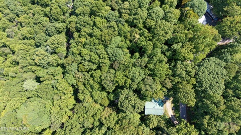 Tiny photo for Old Cades Cove Rd, Townsend, TN 37882 (MLS # 1355406)