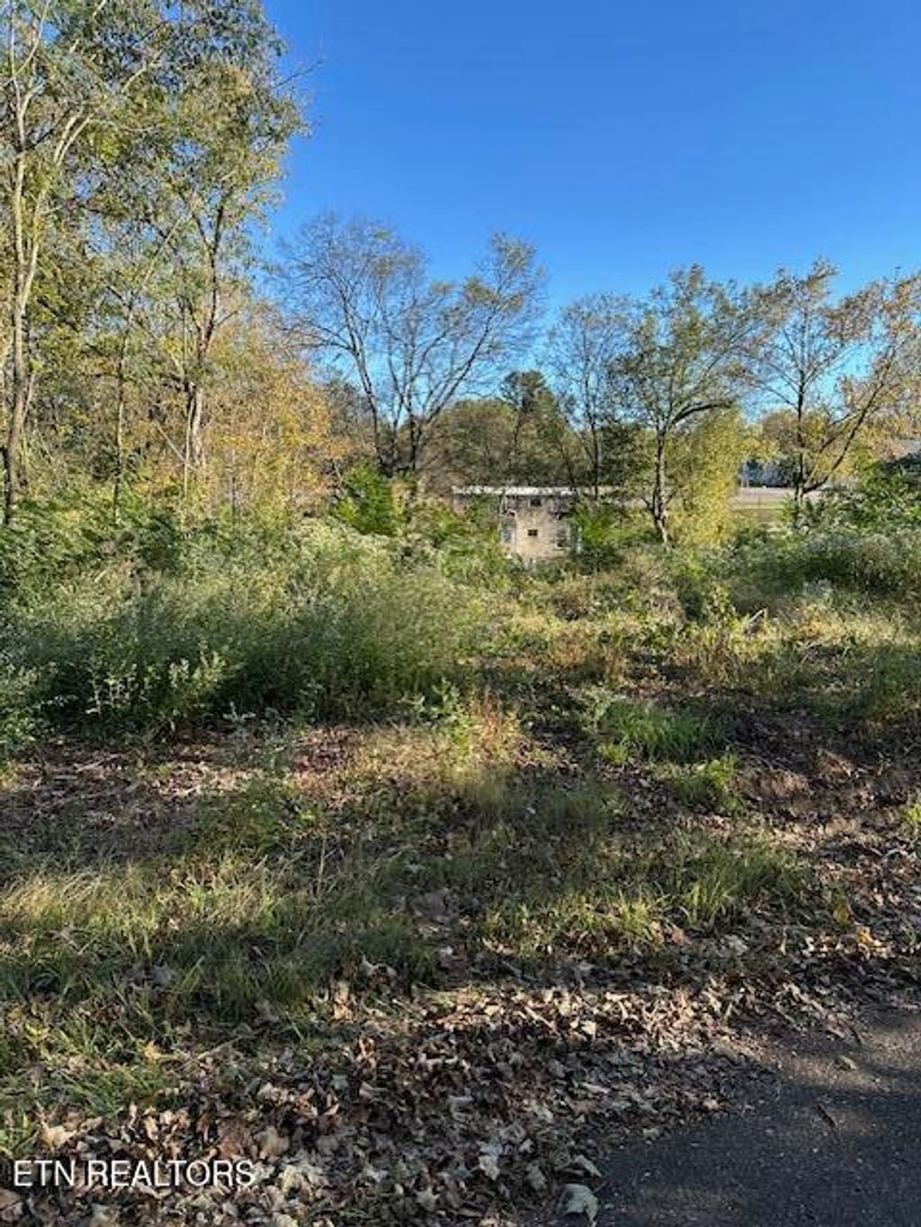 Photo of 21 Mayfield Ave, Knoxville, TN 37920 (MLS # 1319284)
