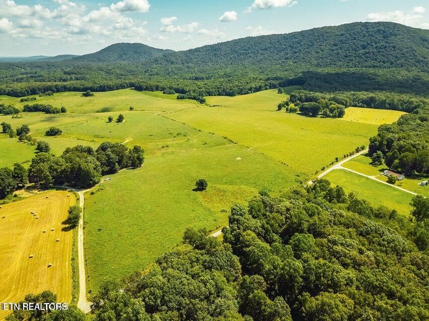 Photo of White Oak Cir Rd, Sunbright, TN 37872 (MLS # 1356377)