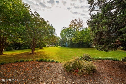 Tiny photo for 1103 Cedar Lane, Knoxville, TN 37912 (MLS # 1359554)