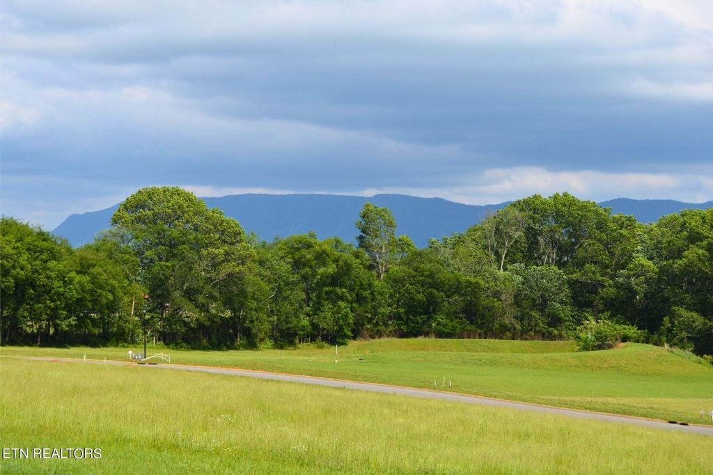 Photo of 642 Winding Creek Way, Walland, TN 37886 (MLS # 1252108)