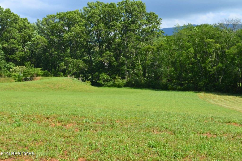 Photo of 642 Winding Creek Way, Walland, TN 37886 (MLS # 1252108)