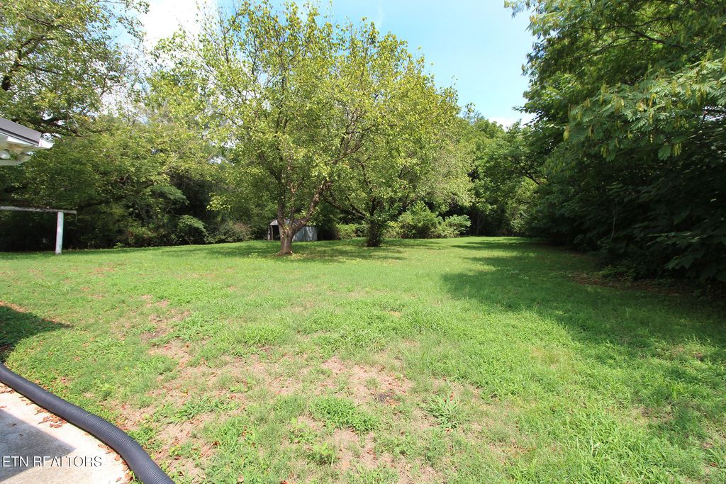 Photo of 228 Pedigo Rd, Madisonville, TN 37354 (MLS # 1313818)