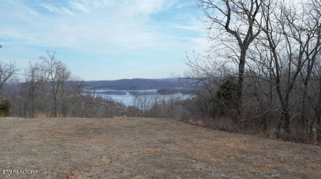 Photo of 454 Crystal Springs Rd, Rockwood, TN 37854 (MLS # 1334550)
