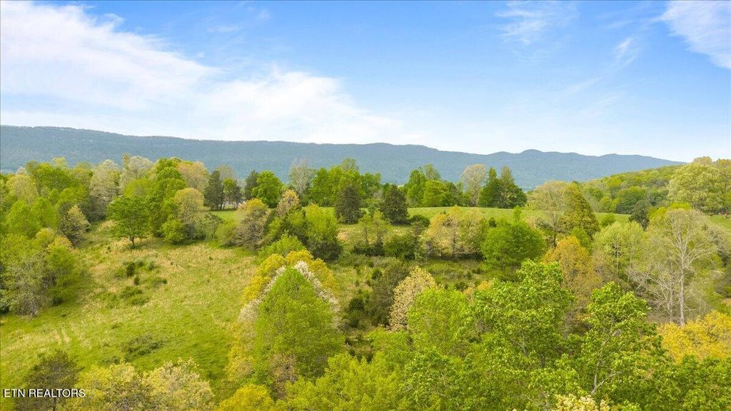 Photo of 951 Knoxville Hollow Rd, LaFollette, TN 37766 (MLS # 1337582)
