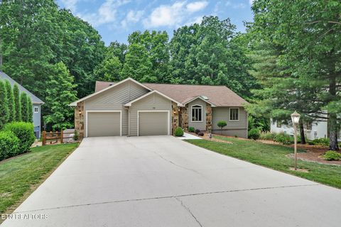 Photo of 35 Pineridge Court, Crossville, TN 38558 (MLS # 1342007)