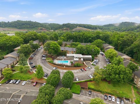 Tiny photo for 3636 Taliluna Ave #113, Knoxville, TN 37919 (MLS # 1345985)