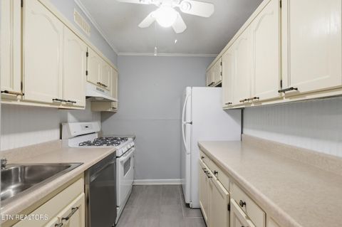 Tiny photo for 3636 Taliluna Ave #113, Knoxville, TN 37919 (MLS # 1345985)