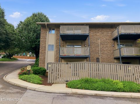 Tiny photo for 3636 Taliluna Ave #113, Knoxville, TN 37919 (MLS # 1345985)
