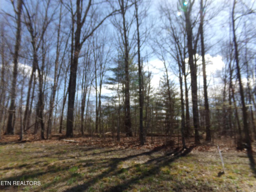 Photo of 7218 Big Horn Drive, Crossville, TN 38572 (MLS # 1335025)