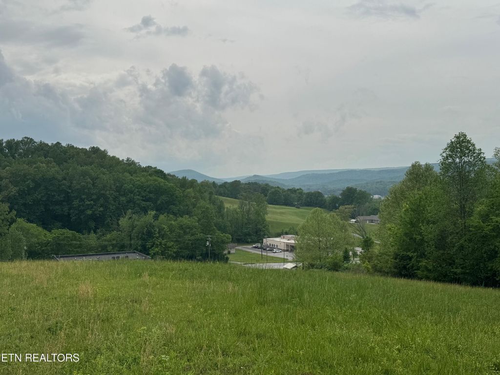 Photo of 4 Brookstone Heights Lane, Dayton, TN 37321 (MLS # 1297481)