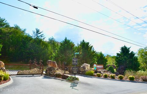 Tiny photo for 1150 Sanctuary Shores Way, Sevierville, TN 37876 (MLS # 1327443)