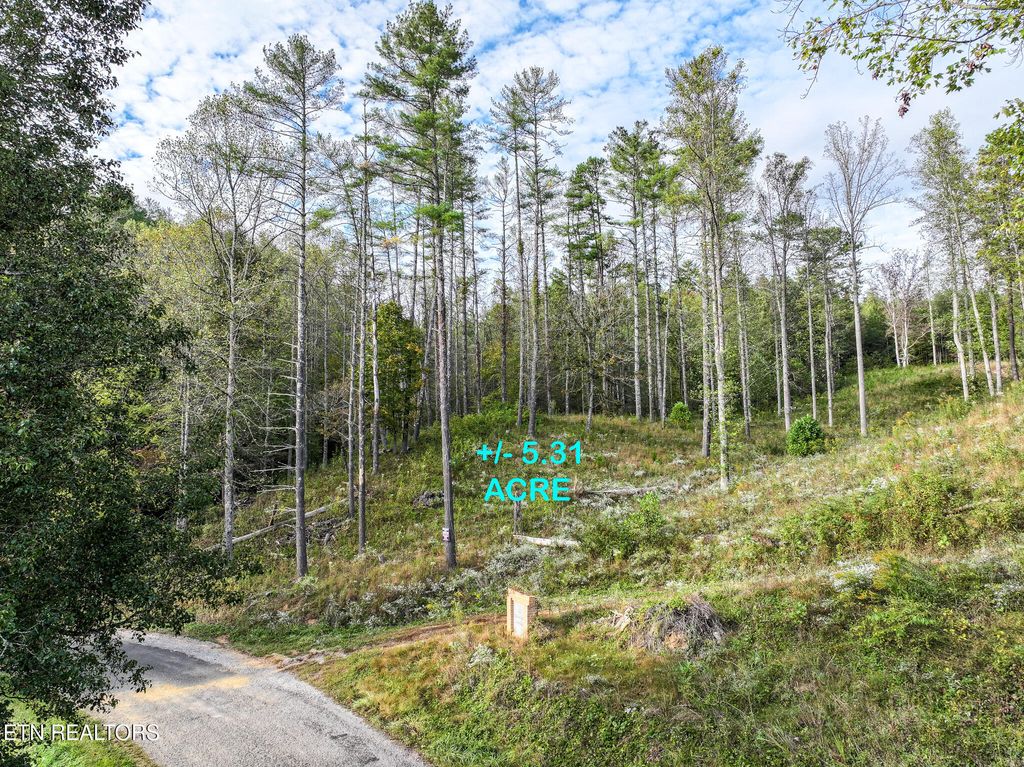 Photo of Long Branch Rd Off Rd, Del Rio, TN 37727 (MLS # 1308511)