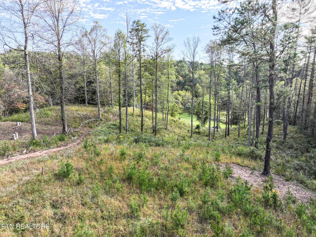 Photo of Long Branch Rd Off Rd, Del Rio, TN 37727 (MLS # 1308511)