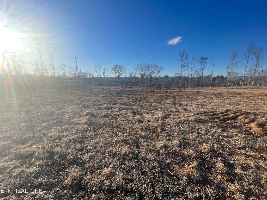 Photo of 222 Community Drive, Madisonville, TN 37354 (MLS # 1287849)