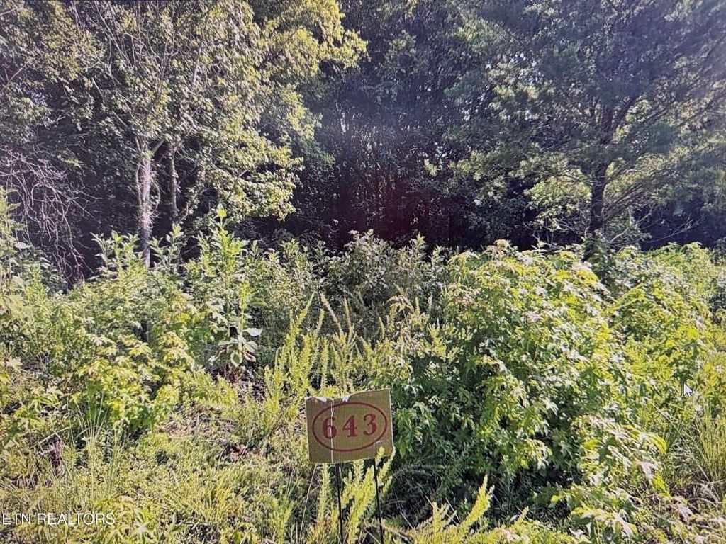 Photo of 204 Majestic View Drive, Rockwood, TN 37854 (MLS # 1323477)