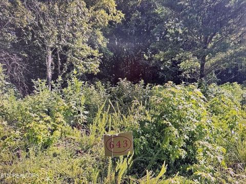 Photo of 204 Majestic View Drive, Rockwood, TN 37854 (MLS # 1323477)