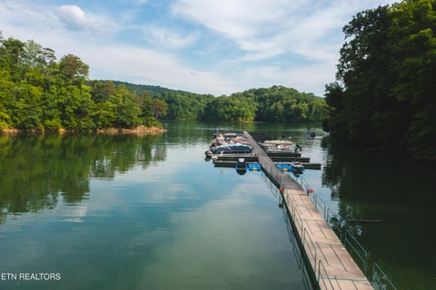Tiny photo for 171 Bluff View Rd, New Tazewell, TN 37825 (MLS # 1344182)