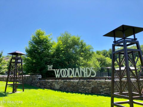 Tiny photo for 3950 Cherokee Woods Way #210, Knoxville, TN 37920 (MLS # 1339040)