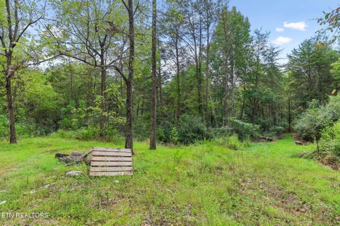 Photo of Sawmill Rd #3, Palmer, TN 37365 (MLS # 1355683)