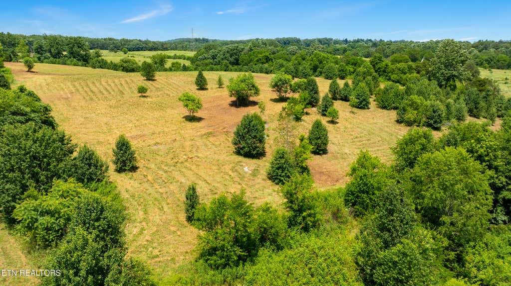 Photo of Thorngrove Pike, Kodak, TN 37764 (MLS # 1348237)