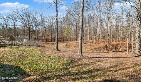 Tiny photo for 1060 Red Cloud Rd, Ten Mile, TN 37880 (MLS # 1326414)