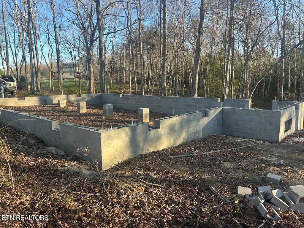 Photo of 239 Sewell Drive, Allardt, TN 38504 (MLS # 1334784)